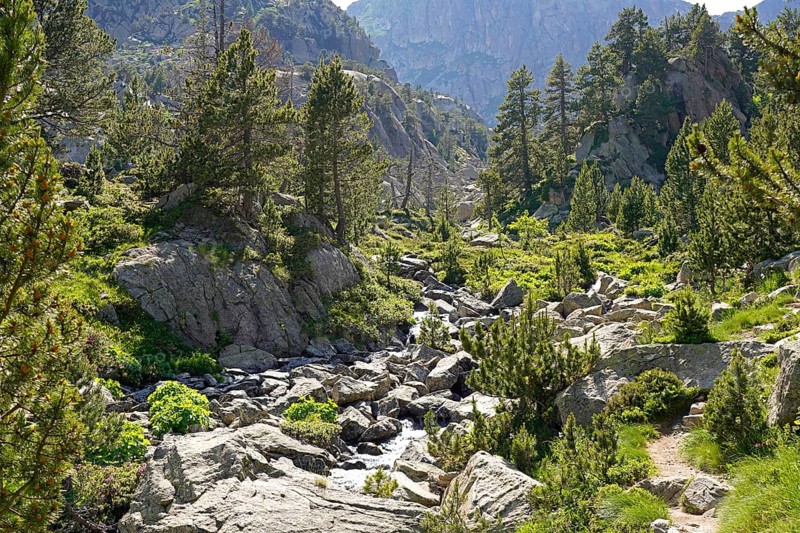 River in the Aigüestortes i Estany de Sant Maurici National Park, Catalonia, Spain