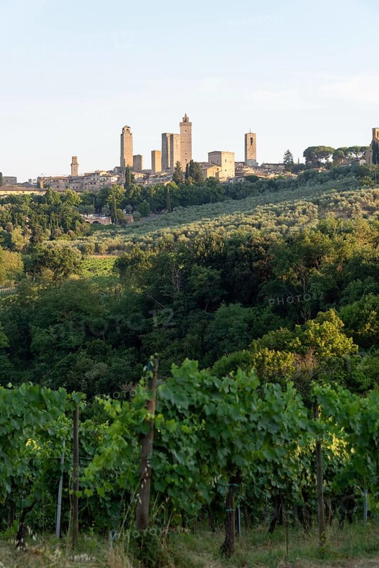 San Gimignano, also known as Medieval Manhattan, UNESCO World Heritage Site, San Gimignano, Tuscany, Italy