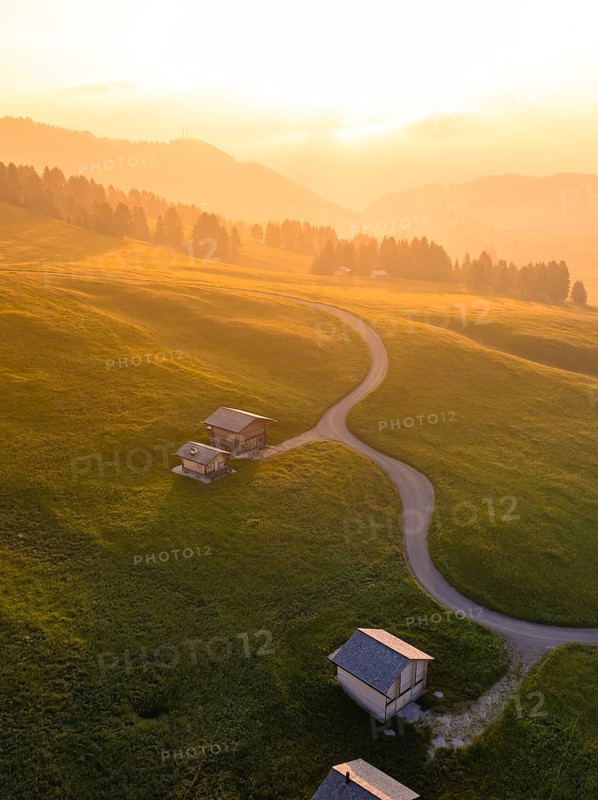 Mountain huts on gentle hills with scattered groups of trees in the light of the sunset, Alpe di Siusi, Dolomites, South Tyrol, Italy