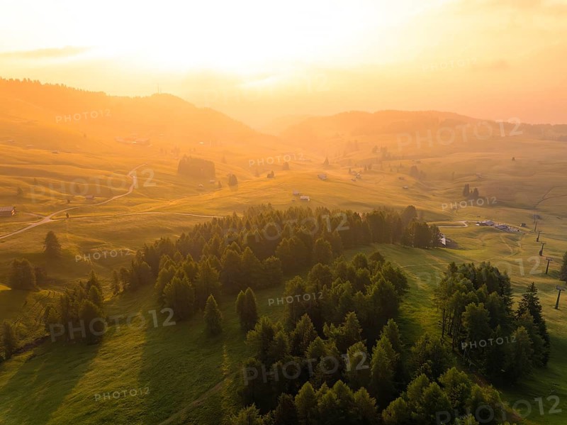 Wide valley view with trees in the warm light of the golden hour, Alpe di Siusi, Dolomites, South Tyrol, Italy