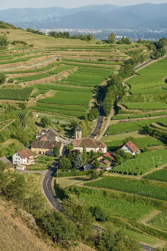 Het uitzicht toont een schilderachtig dorp omringd door uitgestrekte wijngaarden op de heuvels, met een kronkelige Weg die door het landschap slingert tijdens de namiddag. Vogtsburg im Kaiserstuhl, Germany