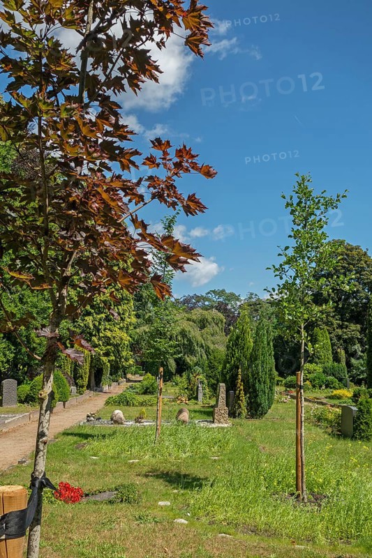Under-tree burial, resting place, accessible place, Lutheran cemetery, Heisfelder Straße, Leer, East Frisia, Germany