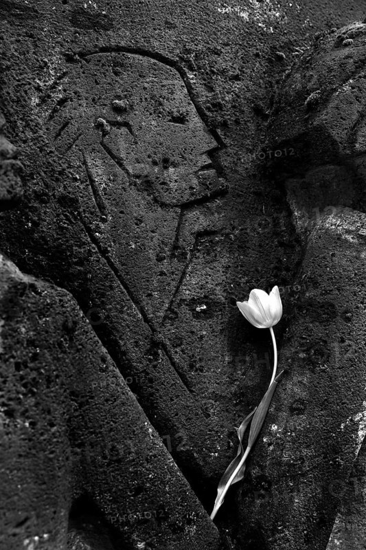 Bittermark memorial, memorial site, detail with tulip for the memorial service on Good Friday, artist Karel Niestrath, Dortmund, Germany
