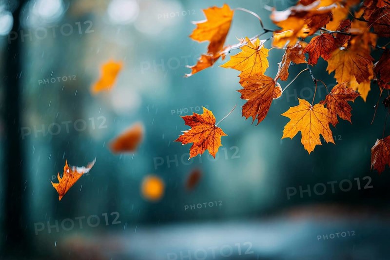 Colorful autumn leaves hanging in the air and falling to the ground. Red and orange autumn foliage, AI generated