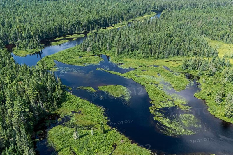 Lake and islands with vegetation, Boreal forest, Mastigouche wildlife reserve, Region of La Mauricie, Province of Quebec, Canada