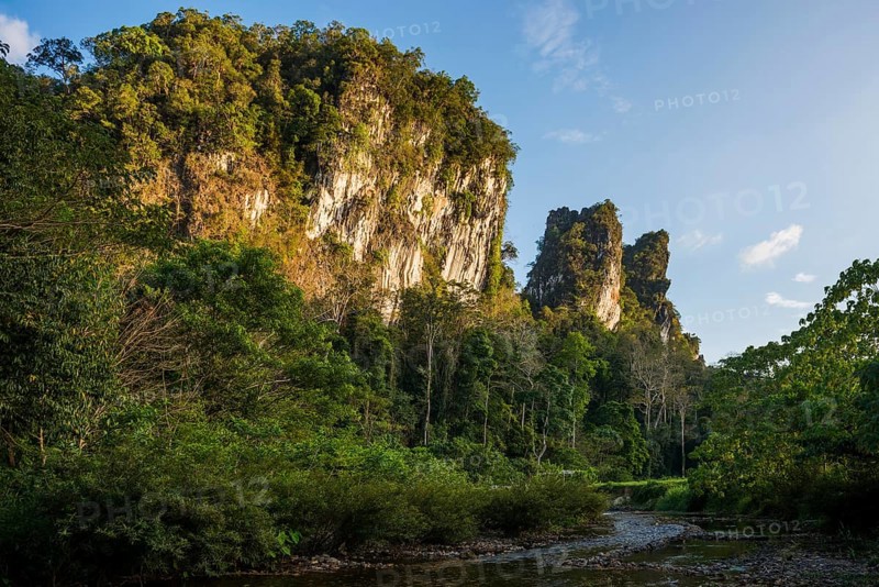Jungle and rainforest with steep mountains, Khao Sok National Park, Phang Nga, Surat Thani, Thailand