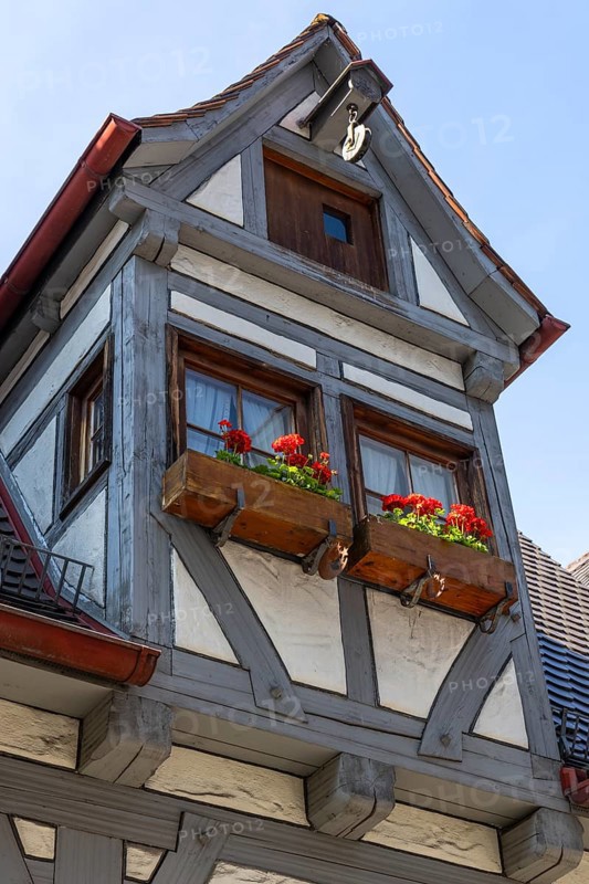 Half-timbered house, Ulm, Baden-Württemberg, Germany