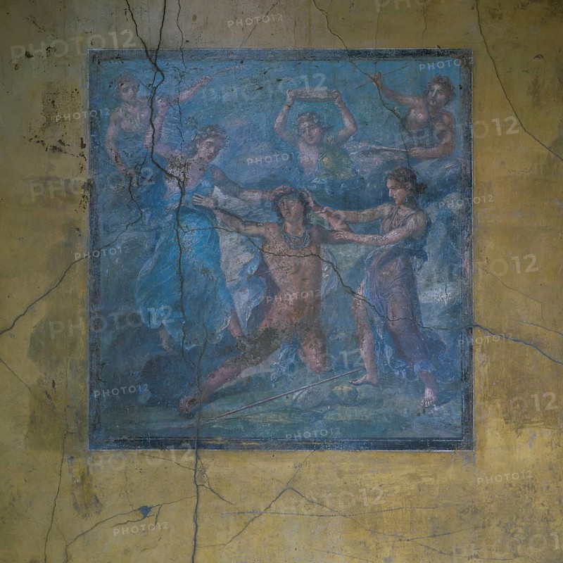Frescoes from the House of Vettii, Aulus Vettius Conviva and Aulus Vettius Restitutus, Oecus, Pompeii, Italy
