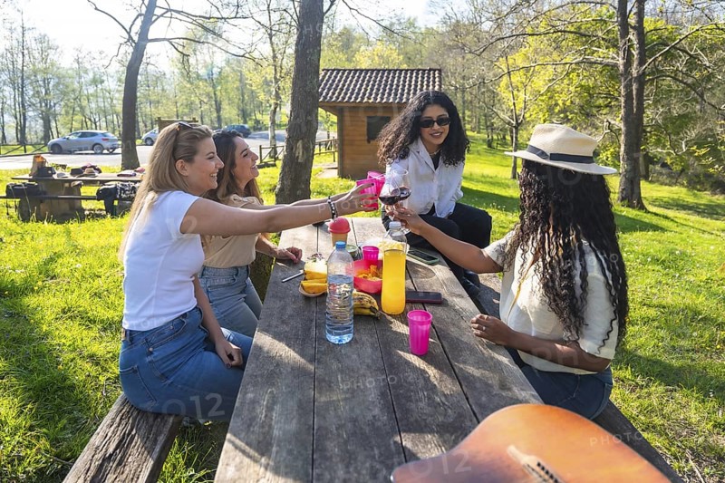 Four young women enjoying a picnic in a park, toasting drinks and having fun together on a sunny day