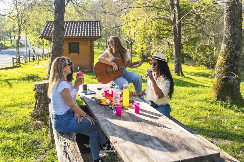 Cheerful young women enjoying a picnic in a sunny park, with one playing guitar, sharing drinks, food, and laughter