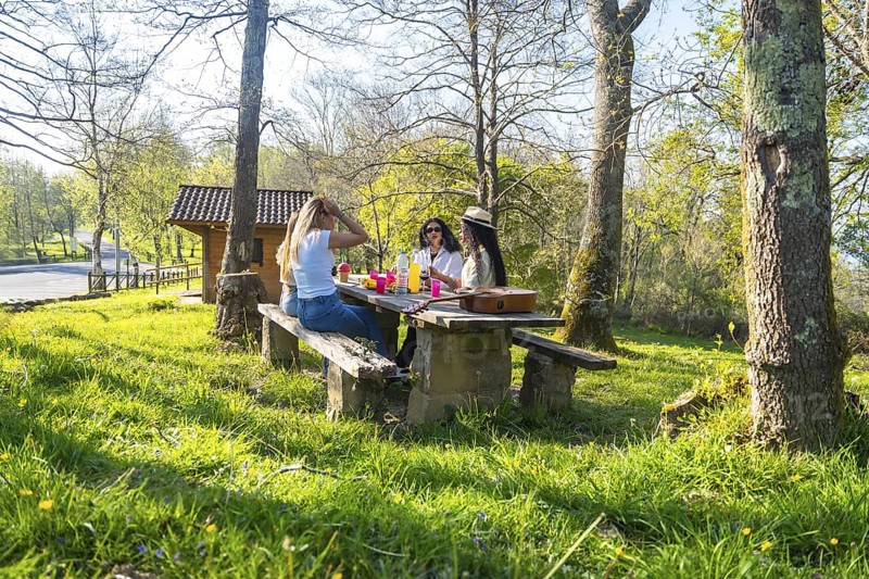 Three women enjoying a picnic lunch and drinks on a sunny day in a forest park, sharing stories and laughter