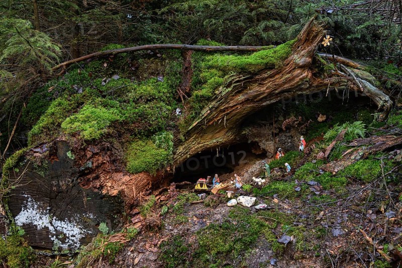 Mysterious cot, Christmas cot in natural surroundings, hidden in the forest, artists have built the cot in the middle of the forest in the Schiberg in Balve at Christmas time, Balver Wald, Sauerland, N, North Rhine-Westphalia, Germany, Western Europe