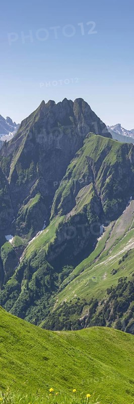 Mountain panorama from Laufbacher-Eckweg to Höfats, 2259m, Allgäu Alps, Allgäu, Bavaria, Germany