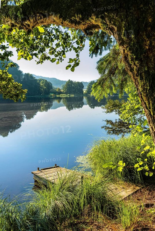 A jetty at Blaibacher See. Blaibach, district of Cham, Upper Palatinate, Bavarian Forest, Bavaria, Germany