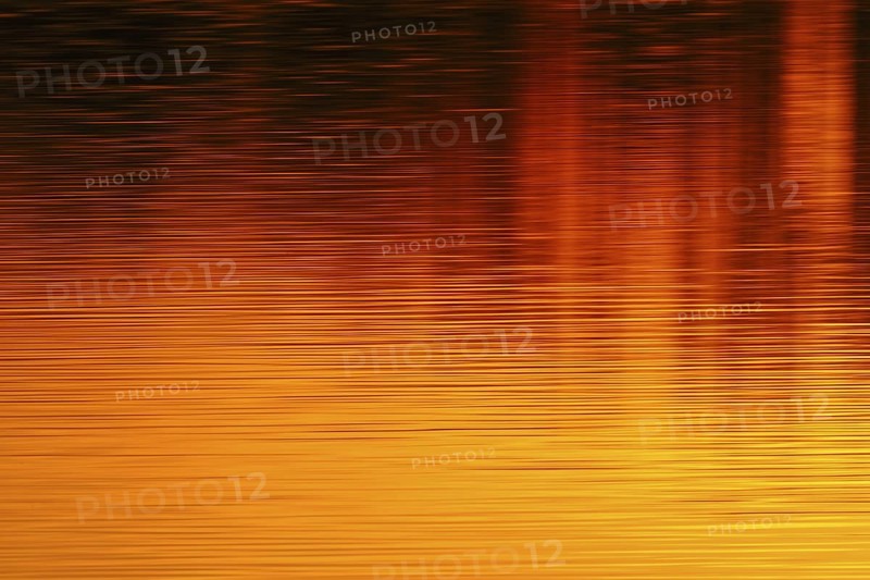 Colours of the sun... Sunset on the water (Lower Rhine, North Rhine-Westphalia), yellow red orange water reflection, reflection of the colours of the setting sun on a calm, only slightly moving water surface, local nature, Bislicher Insel, district Wesel, Rhineland, Lower Rhine, North Rhine-Westphalia, Germany, Western Europe