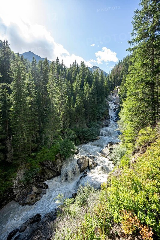 Waterfall at a roaring mountain stream between trees, Seebach stream in the Burkhardklamm gorge, Ridnauntal valley, South Tyrol, Italy