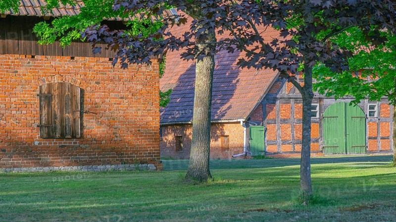 View through a chestnut tree onto a farm, Böhme, Heidekreis, Rethem Aller, Leine Aller Tal, Lower Saxony, Germany
