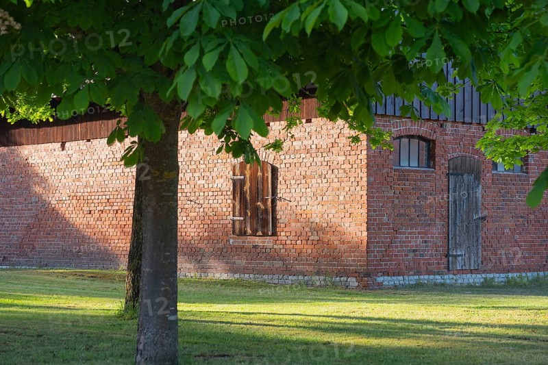 View through two chestnut trees to a part of a barn, Böhme, Heidekreis, Rethem Aller, Leine Aller Tal, Lower Saxony, Germany