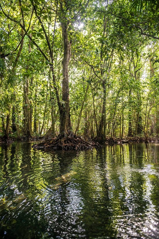 Lagoon, Klong Rud, Klong Nam Sai, Ao Nang, Krabi, Thailand