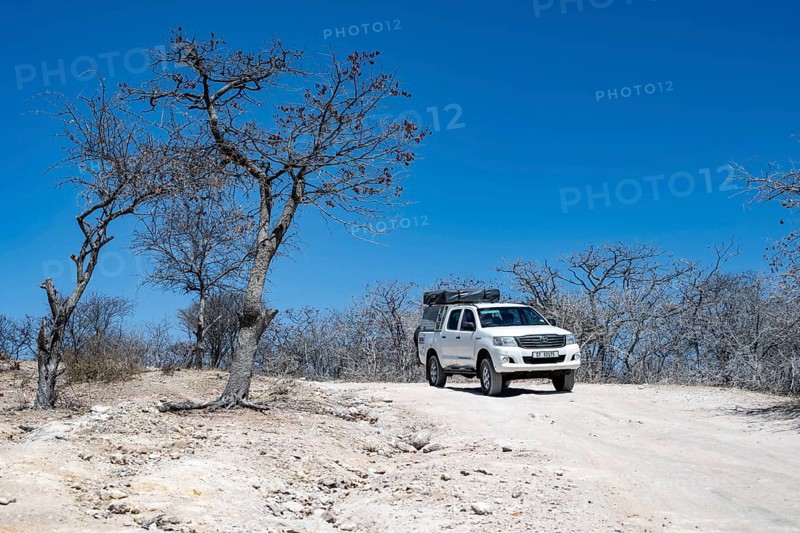 Off-road vehicle between dry bushes on a sandy track, Makgadikgadi salt pans, Botswana