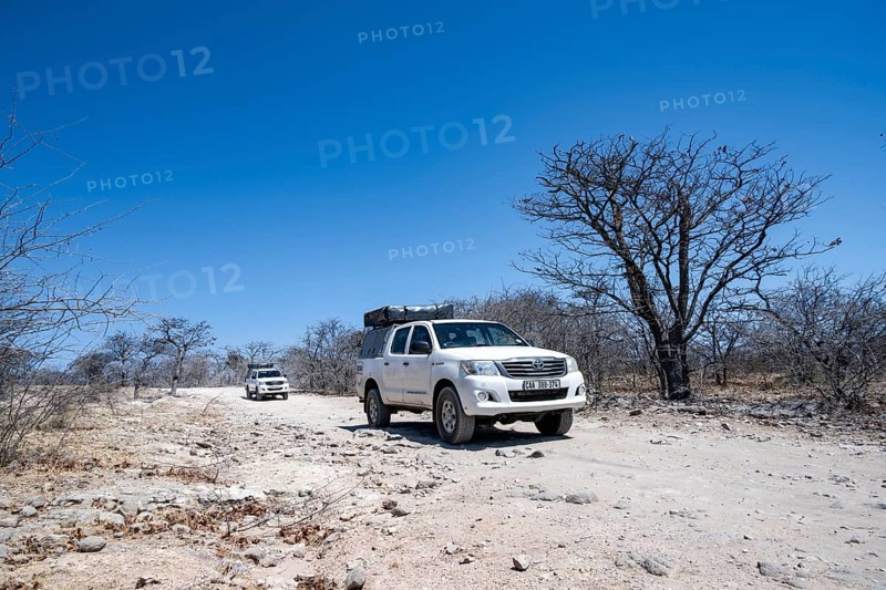 Two off-road vehicles between dry bushes on a sandy track, Makgadikgadi salt pans, Botswana