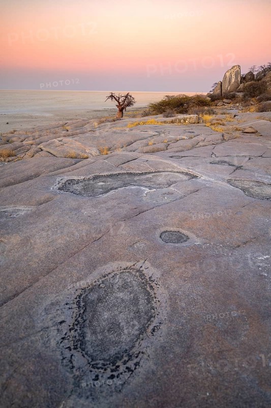 Rocks with salt crust on Kubu Island, view over the salt pan at sunset, Kubu Island (Lekubu), Sowa Pan, Makgadikgadi Salt Pans, Botswana