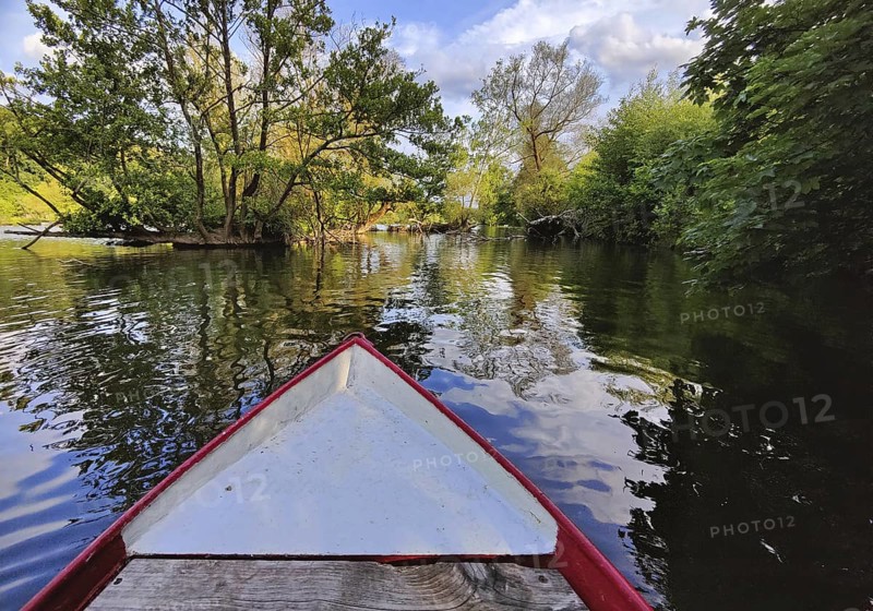 View from a rowing boat onto the Ruhr with an overgrown island in the river, Witten, Ruhr area, Germany