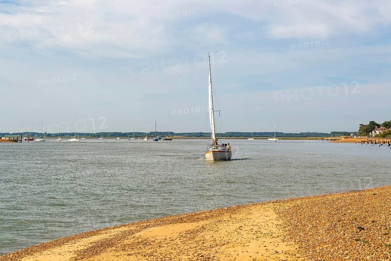 Sailing boat yacht at mouth of River Deben estuary, Bawdsey Quay, Suffolk, England, UK
