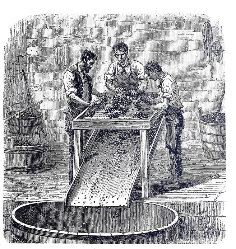 Winemaking, worker at a grape rasp, around 1880, digitally improved reproduction of a 19th century model, historical, exact date unknown