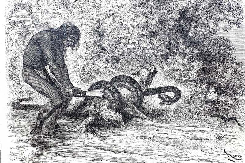 A South American Indian frees his dog from the stranglehold of a boa constrictor constrictor snake, Historical, digitally enhanced reproduction of an original from around 1860