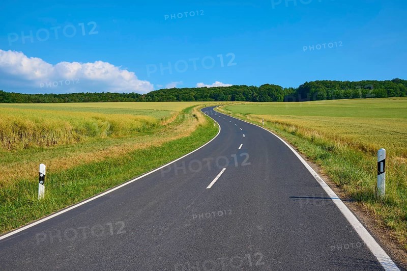 Rural road winds through green fields under a blue sky with white clouds, summer, Marktheidenfeld, Bavaria, Germany