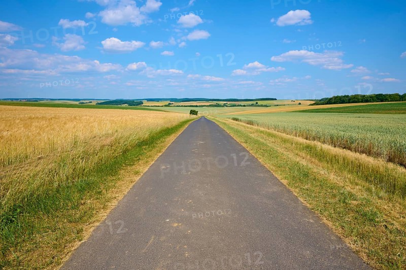 Straight road through wide fields under a blue sky with clouds, summer, Thüngen, Main Spessart district, Bavaria, Germany