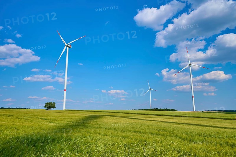 Three wind turbines stand in a large open barley field under a clear sky, summer, Retzstadt, Main Spessart district, Bavaria, Germany