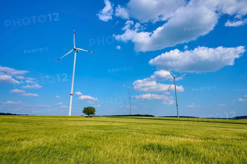Wind turbines standing in an open grain field under a clear blue sky with white clouds, summer, Retzstadt, Main Spessart district, Bavaria, Germany