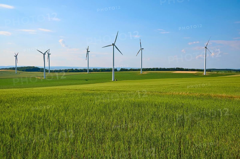 Green grain fields with wind turbines under a blue sky, representation of sustainable energy, summer, Höhefeld, Wertheim, Baden-Württemberg, Germany