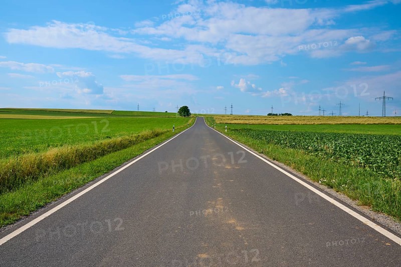 A straight country road between green fields under a blue sky with white clouds, Marktheidenfeld, Bavaria, Germany