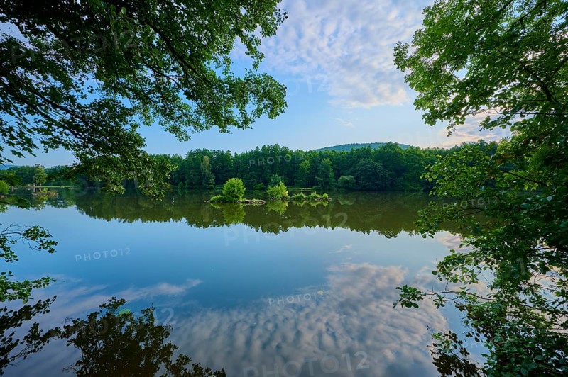A calm, reflecting river surrounded by trees and small islands in the morning light, summer, Grünenwört, Wertheim, Main, Main-Tauber-Kreis, Baden-Württemberg, Germany
