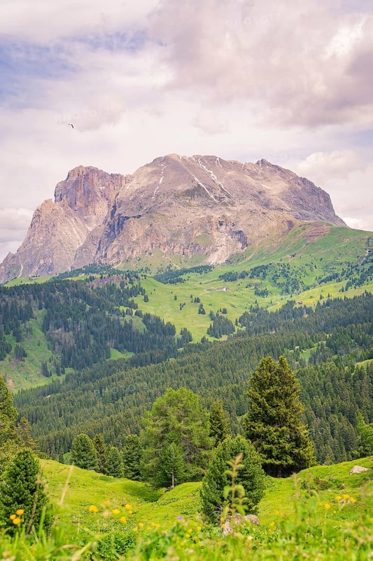 Mountain panorama with green forests and meadows under a cloudy sky, Alpe di Siusi, Dolomites, South Tyrol, Italy