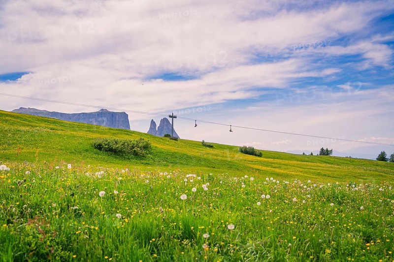 Wide meadow with cross and cable car in the background under a blue sky, Alpe di Siusi, Dolomites, South Tyrol, Italy