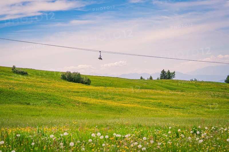 Green meadow with flowers and cable car in front of a wide sky, Alpe di Siusi, Dolomites, South Tyrol, Italy