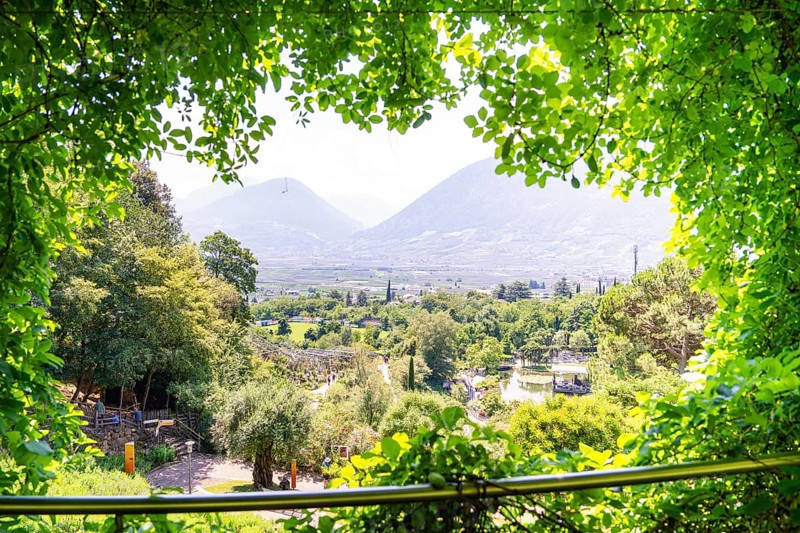 A panoramic view over a valley with trees and mountains in the background, Botanical Gardens, The Gardens of Trauttmansdorff Castle, Merano, South Tyrol, Italy