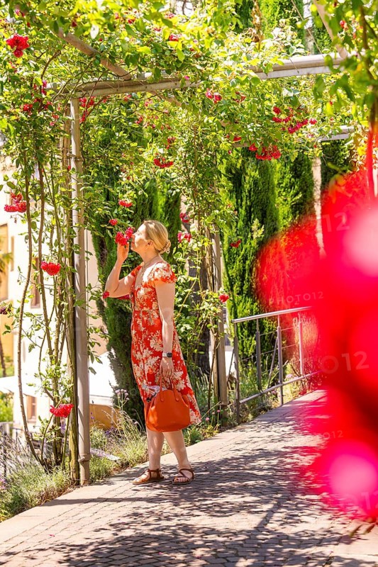 A woman in a red dress smells red roses in a green garden, Botanical Garden, The Gardens of Trauttmansdorff Castle, Merano, South Tyrol, Italy