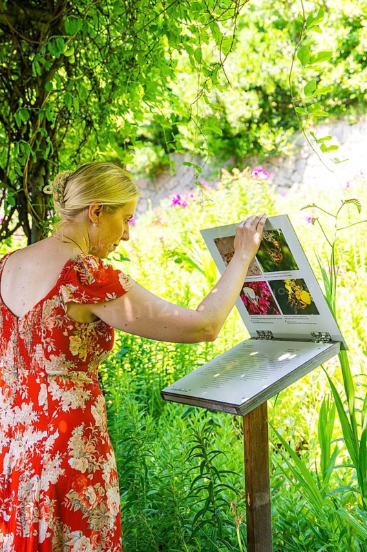 A woman looks at an information board in the middle of a green and flowery landscape, Botanical Garden, The Gardens of Trauttmansdorff Castle, Merano, South Tyrol, Italy