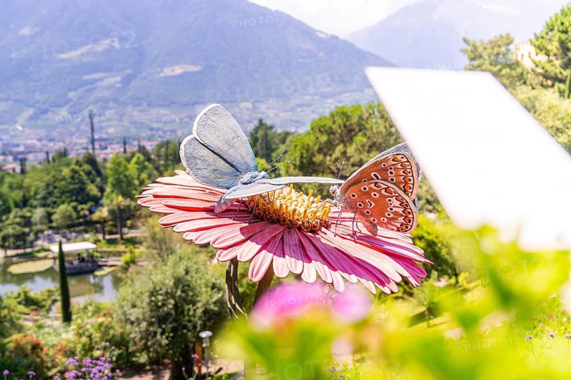Two large plastic butterflies on a flower with a view of the mountains, Botanical Gardens, The Gardens of Trauttmansdorff Castle, Merano, South Tyrol, Italy