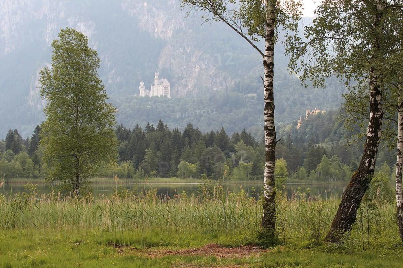 Neuschwanstein Castle near Füssen in summer, with the Schwansee lake in the foreground, Allgäu, Bavaria, Germany, Allgäu, Bavaria, Germany