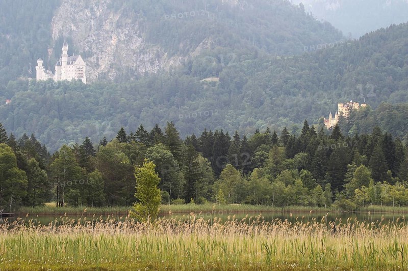 Neuschwanstein Castle and Hohenschwangau Castle (right) with Lake Schwansee in the foreground, Allgäu, Bavaria, Germany, Allgäu, Bavaria, Germany