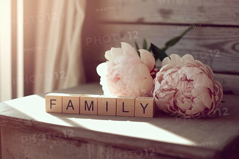 Wooden blocks spelling family beside peony flowers. Generative ai, AI generated
