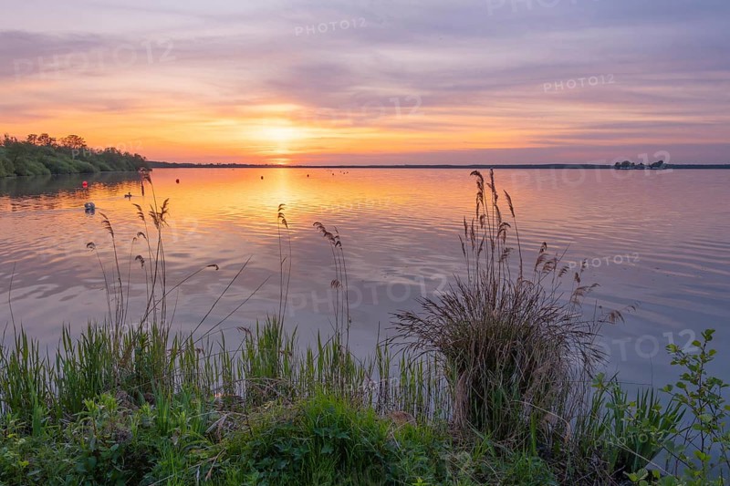 Evening mood at the Steiunhuder Meer, sunset, landscape photo, nature photo, landscape format, backlight, Neustadt am Rübenberge, Wunstorf, Hanover region, Lower Saxony, Germany