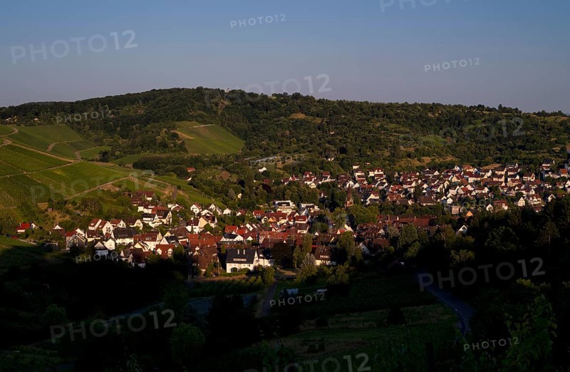 View from Rotenberg, Württemberg, to Urbach, Rems Valley, vineyards, evening light, Stuttgart, Baden-Württemberg, Germany