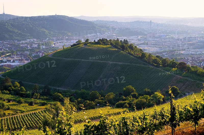 View from Rotenberg, Württemberg. over Mönchberg, Untertürkheim to the Neckar valley, headquarters of Mercedes-Benz Group AG, vineyards, evening light, Stuttgart, Baden-Württemberg, Germany